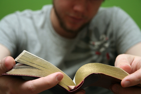 Person Reading the Bible